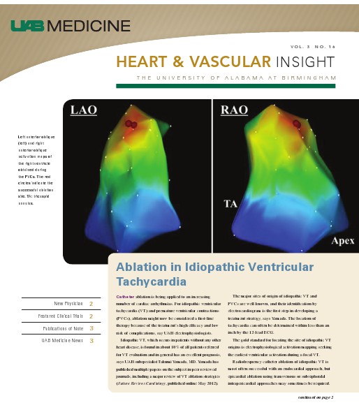 UAB Insight Heart & Vascular Volume 3