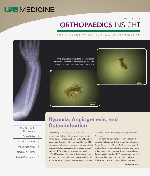 UAB Insight Orthopaedics Volume 1