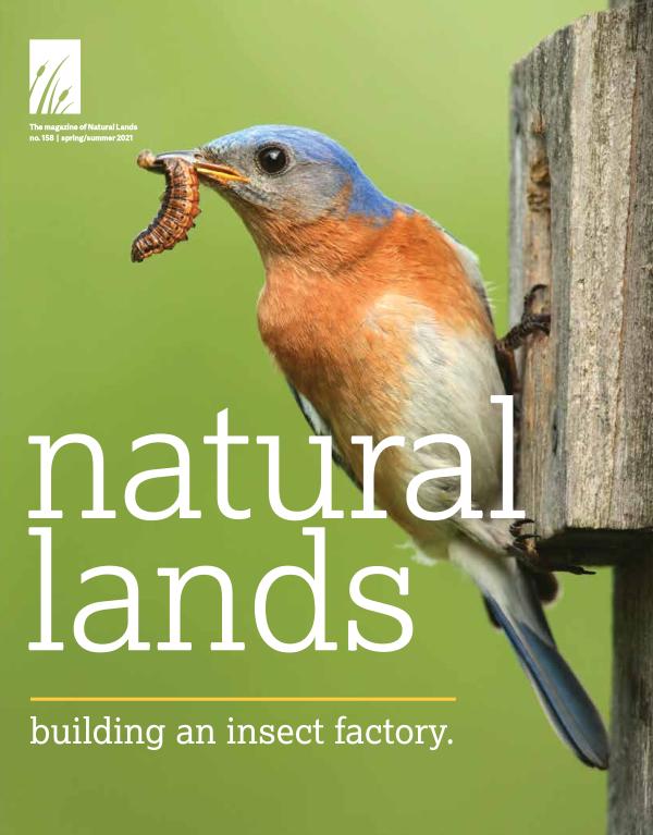 Natural Lands—the magazine of Natural Lands