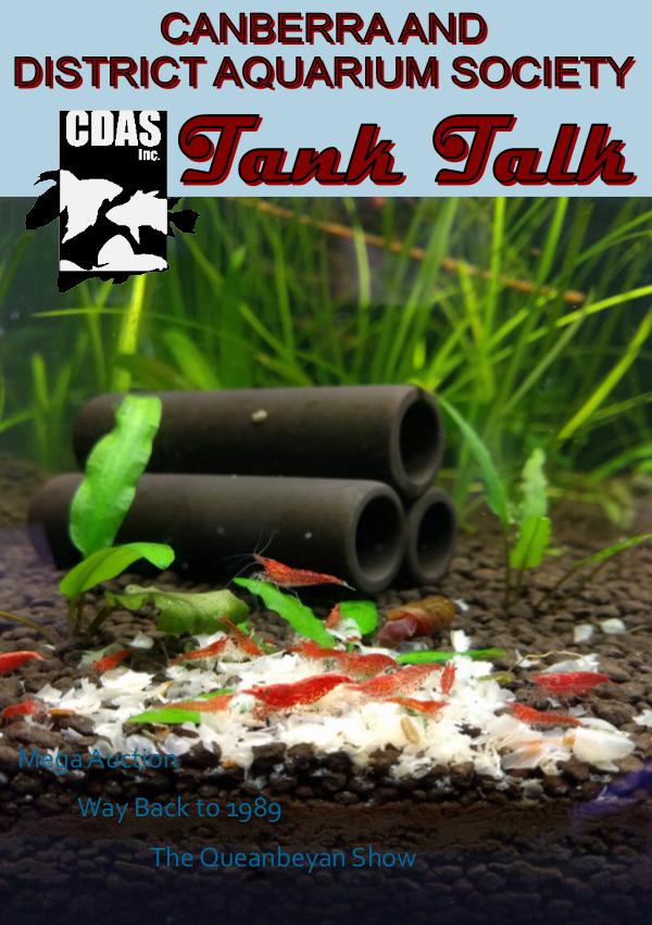 Tank Talk Magazine 