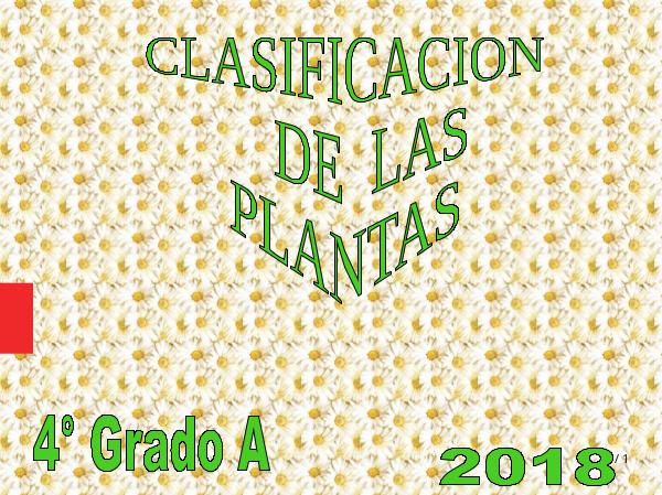 CLASIFICACIÓN DE PLANTAS 4A