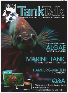 Tank Talk Magazine October 2013