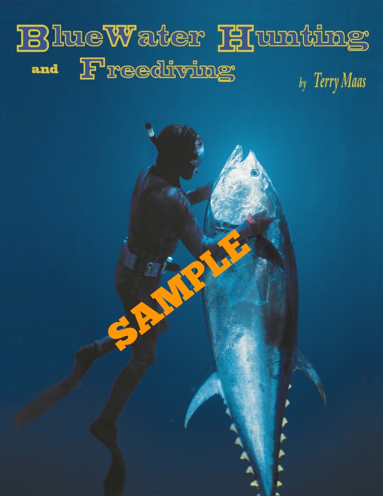 SAMPLE: BLUE WATER HUNTING AND FREEDIVING Introduction sample