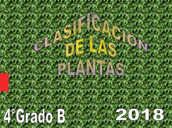 CLASIFICACIÓN DE PLANTAS 4B