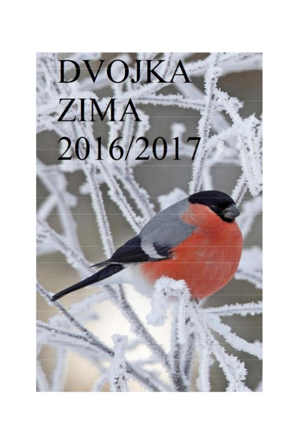 Školský časopis DVOJKA 