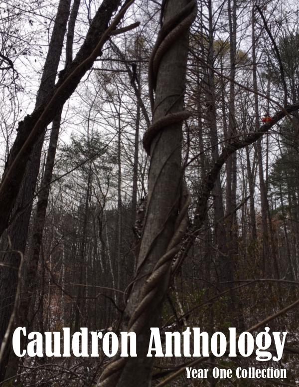 Cauldron Anthology Issue 3: Year 1 Collection