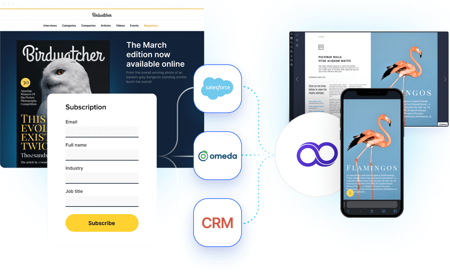 Joomag Digital Publication Delivery